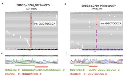 HER2 Exon 20 Insertion Mutations in Lung Adenocarcinoma: Case Series and Response to Pyrotinib